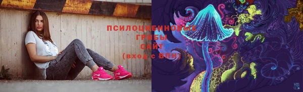 винт Алексин
