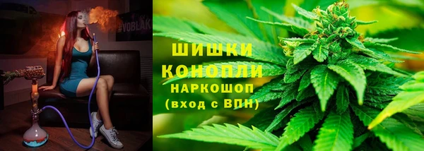 ПСИЛОЦИБИНОВЫЕ ГРИБЫ Алзамай